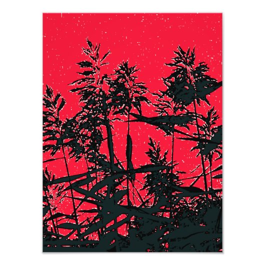 野草 フォトプリント            (正面)