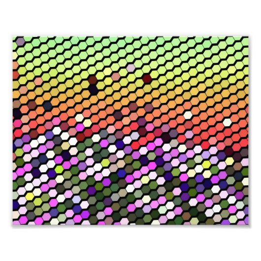 野草 フォトプリント            (正面)