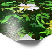 野草 フォトプリント            (角)