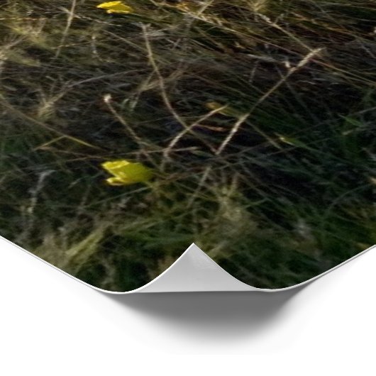 野草 ポスター (角)