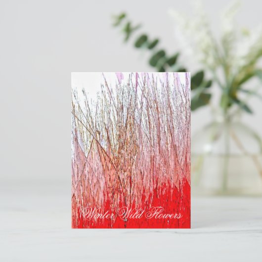 野草 ポストカード (スタンド正面)