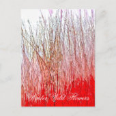 野草 ポストカード (正面)