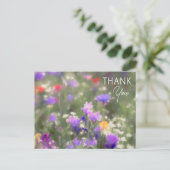 野草 ポストカード (スタンド正面)