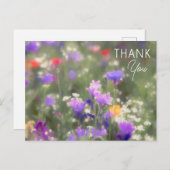 野草 ポストカード (正面/裏面)