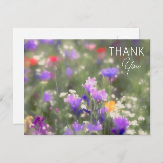 野草 ポストカード (正面/裏面)