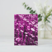 野草 ポストカード (スタンド正面)