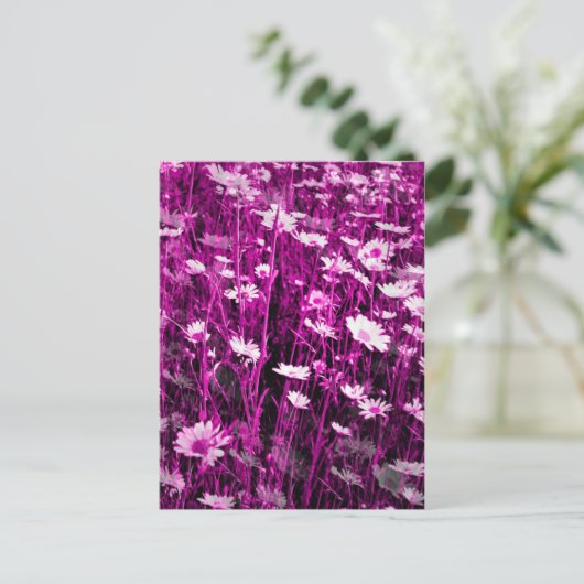 野草 ポストカード (スタンド正面)