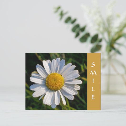 野草 ポストカード (スタンド正面)