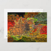 野草 ポストカード (正面/裏面)