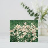 野草 ポストカード (スタンド正面)