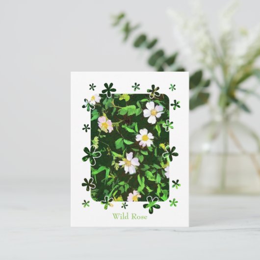 野草 ポストカード (スタンド正面)