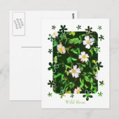 野草 ポストカード (正面/裏面)