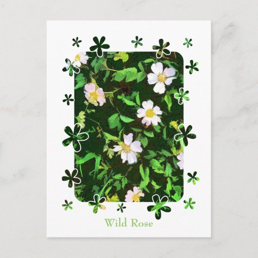 野草 ポストカード (正面)