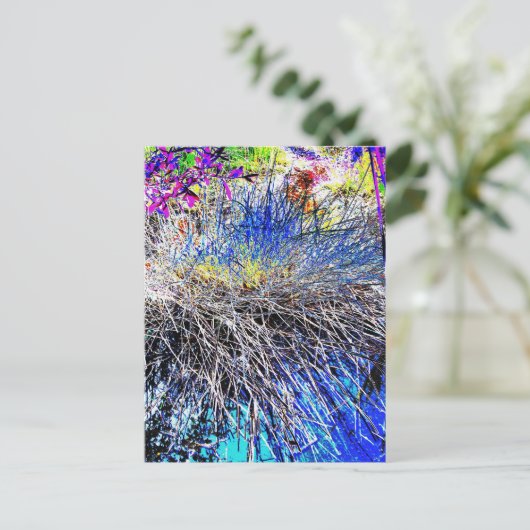 野草 ポストカード (スタンド正面)