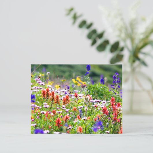 野草 ポストカード (スタンド正面)