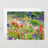 野草 ポストカード (正面/裏面)