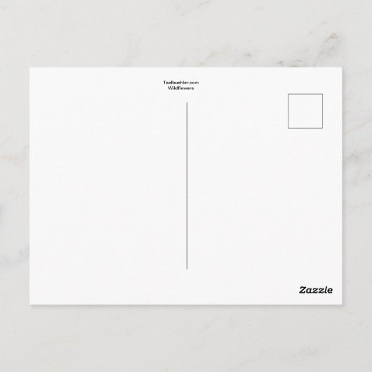 野草 ポストカード (裏面)