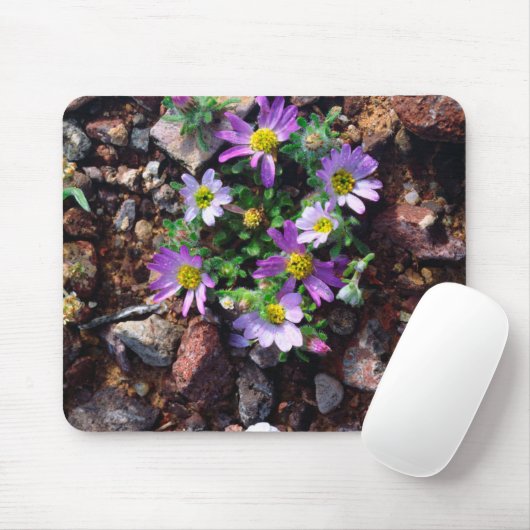 野草 マウスパッド (マウス)