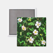 野草 マグネット (正面/裏面)