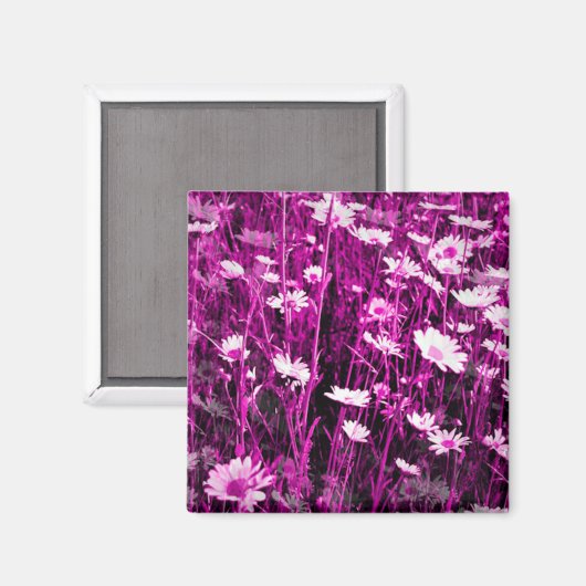 野草 マグネット (正面/裏面)