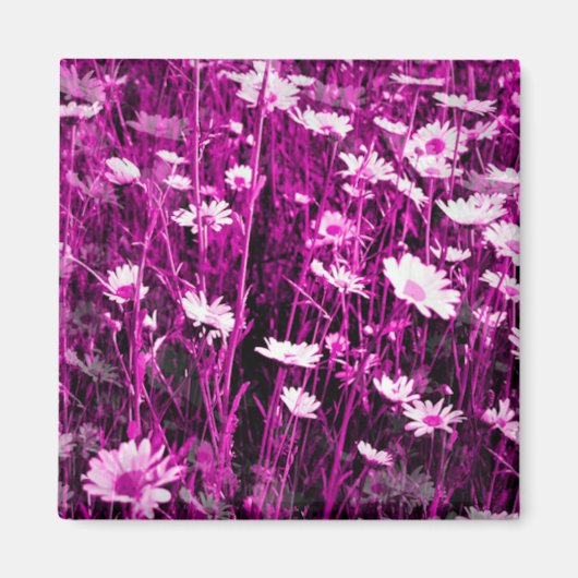 野草 マグネット (正面)