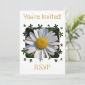 野草 招待状 (スタンド正面)