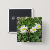 野草 缶バッジ (正面&裏面)