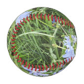 野草 野球ボール (正面左)