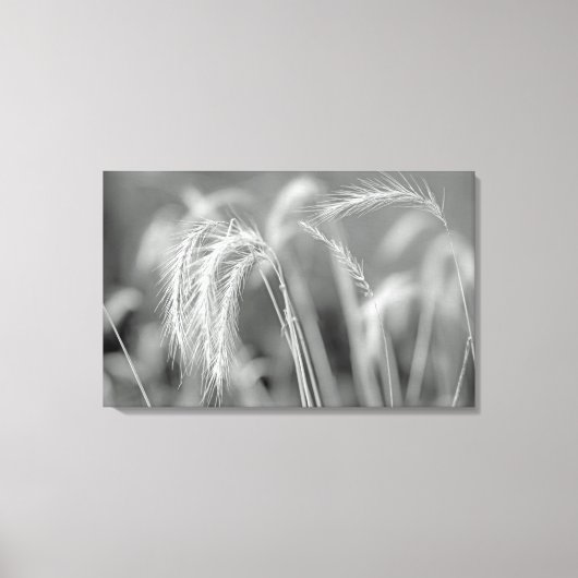 野草 – 黒と白 キャンバスプリント (正面)