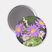 野菊 マグネット (正面/裏面)