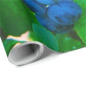 野菜かわいらし ラッピングペーパー (ロールコーナー)