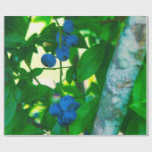 野菜かわいらし ラッピングペーパー (フラット)