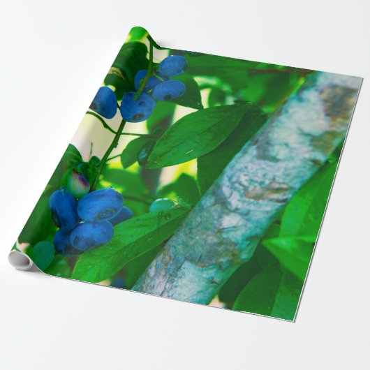 野菜かわいらし ラッピングペーパー (アンロールド)