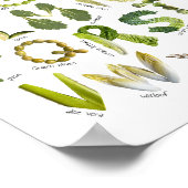 野菜のアルファベット - 緑の野菜を食べよう 子供向けベジタブル  ポスター (角)