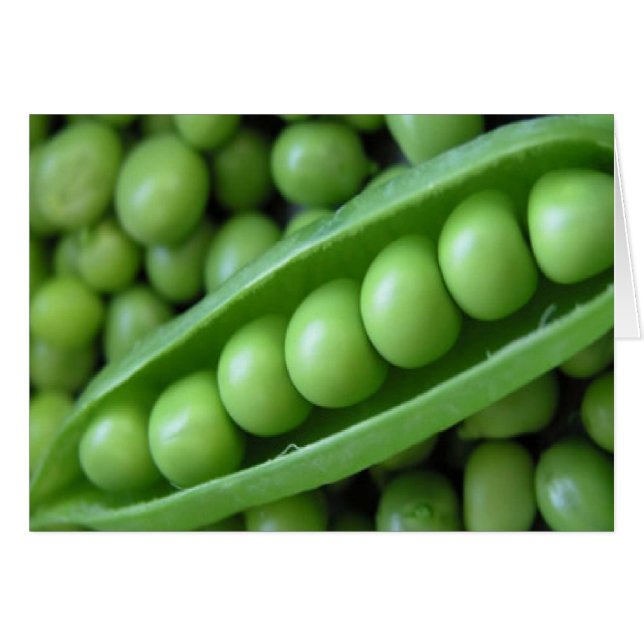 野菜のエンドウ豆 (正面横)
