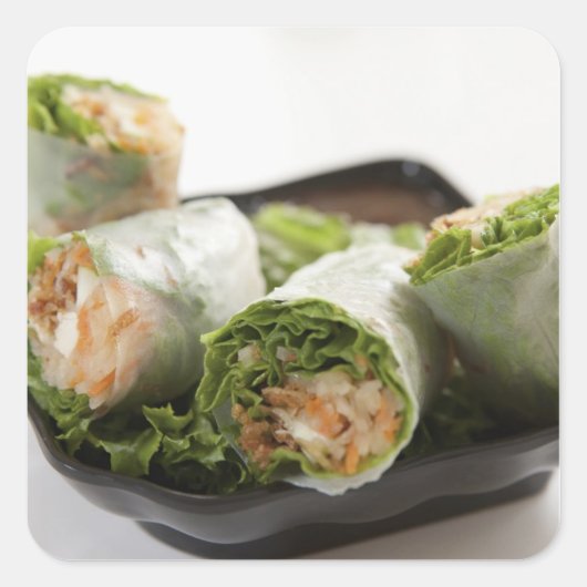 野菜の春巻き スクエアシール (正面)