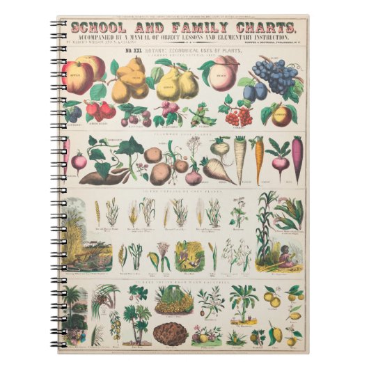 野菜の植物学ポスター ノートブック (正面)
