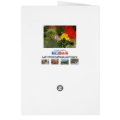 野菜の生熟した庭収穫ノートカード (裏面)