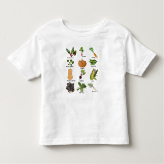 野菜の種類|過去記事 トドラーTシャツ