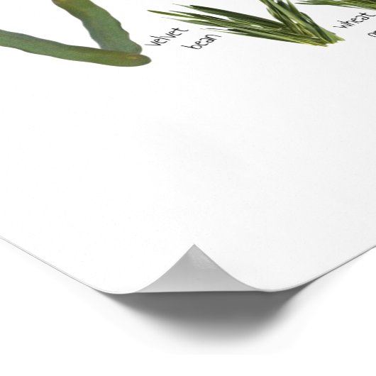 野菜アルファベット野菜子供部屋 – 食べ物ABC ポスター (角)