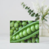 野菜エンドウ ポストカード (スタンド正面)