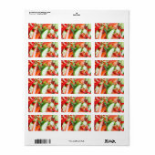 野菜サラダ ラベル (フルシート)