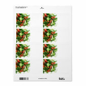 野菜サラダ ラベル (フルシート)