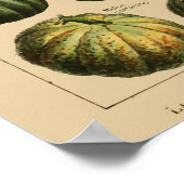 野菜ヴィンテージフランスのブックページ ポスター (角)