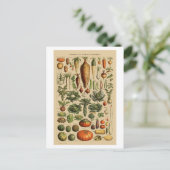 野菜ヴィンテージフランスのブックページ ポストカード (スタンド正面)