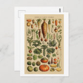 野菜ヴィンテージフランスのブックページ ポストカード (正面/裏面)