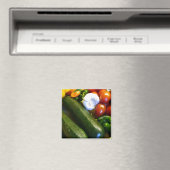 野菜磁石 マグネット (インサイチュ (食洗機))