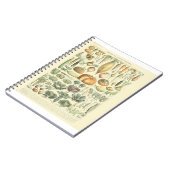 野菜識別チャート ノートブック (左側)