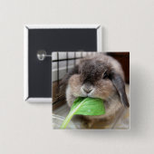 野菜食べるバニー 缶バッジ (正面&裏面)