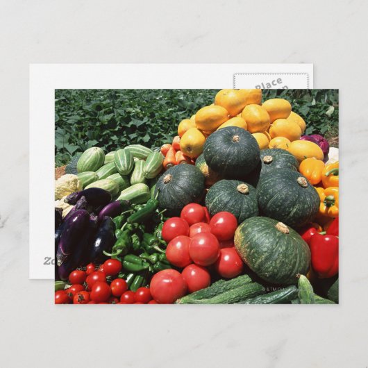 野菜2 ポストカード (正面/裏面)
